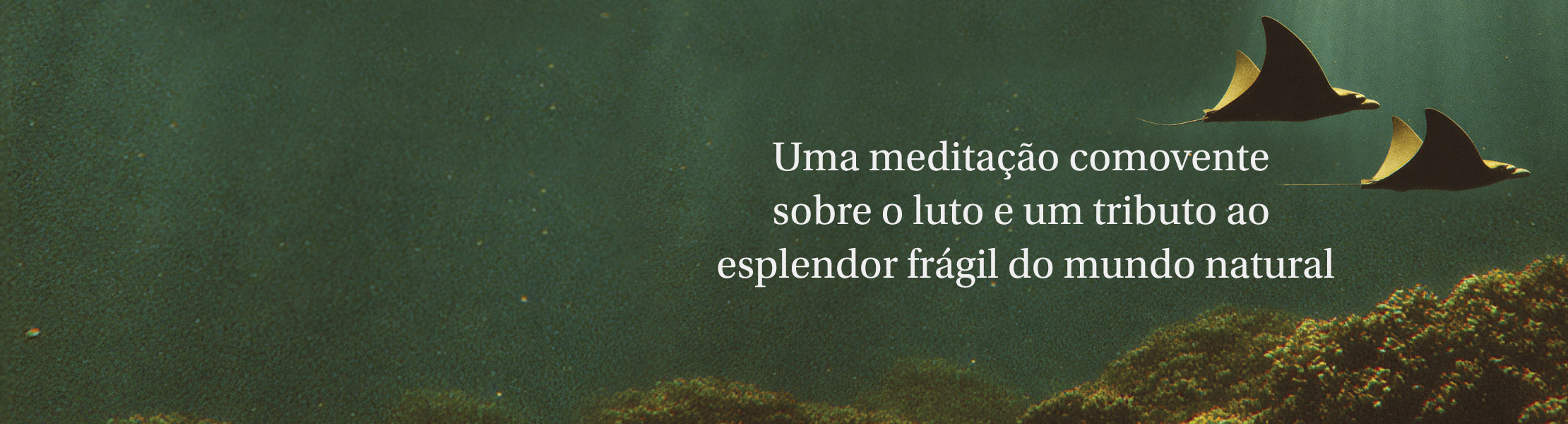 Debaixo de Água - Tara Menon 